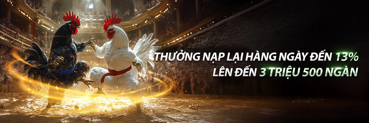 Sân đấu đá gà sôi động tại nohu 09 nhà cái